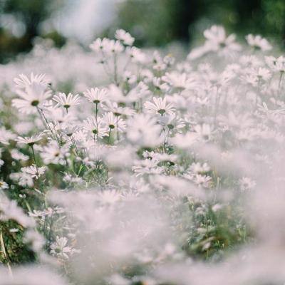 亚虎娱乐手机app下载